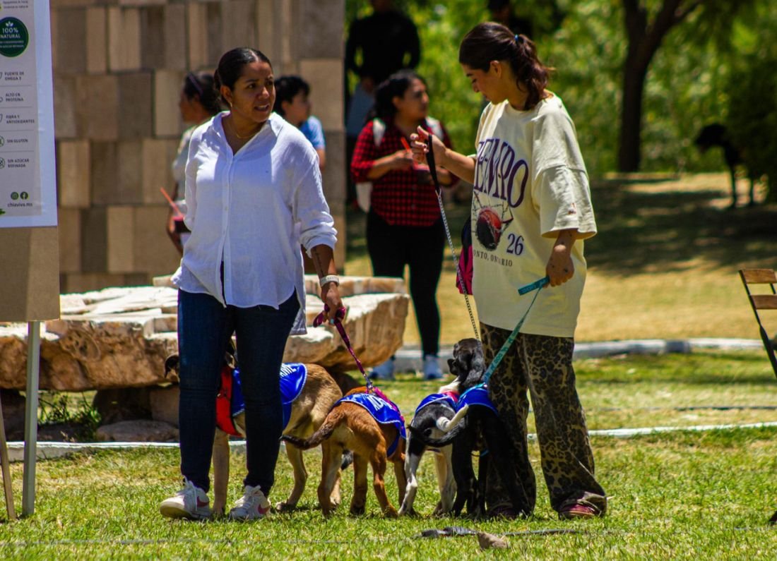 Habrá segunda edición del Adopta Fest en Puebla