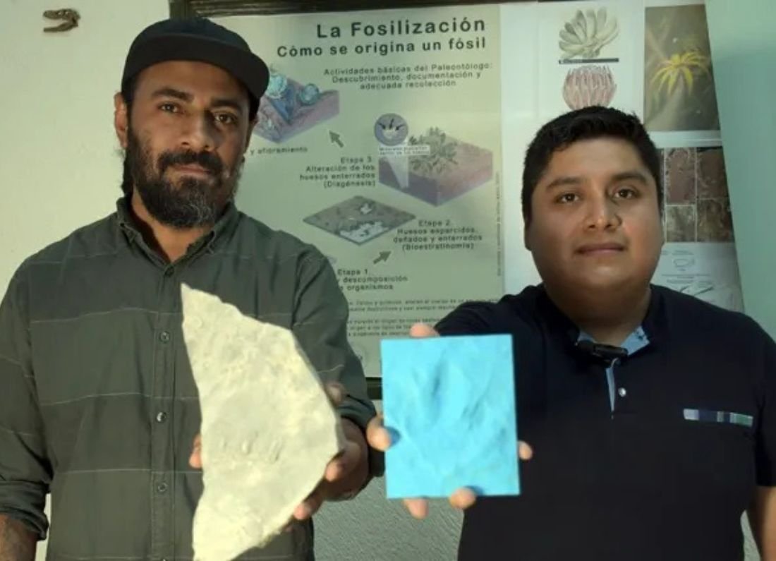 Investigadores de la BUAP identifican nuevas huellas de dinosaurios